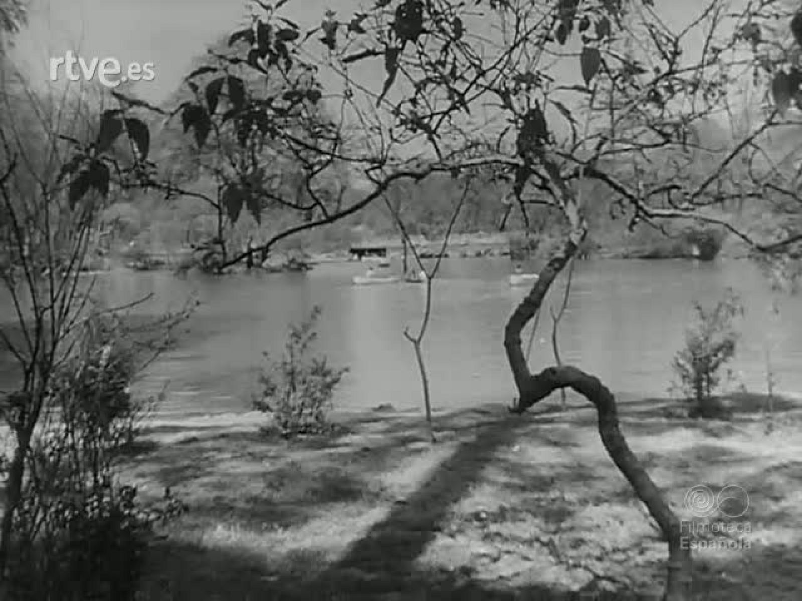 TIPICAMENTE MEJICANO - Revista Imágenes | Ver