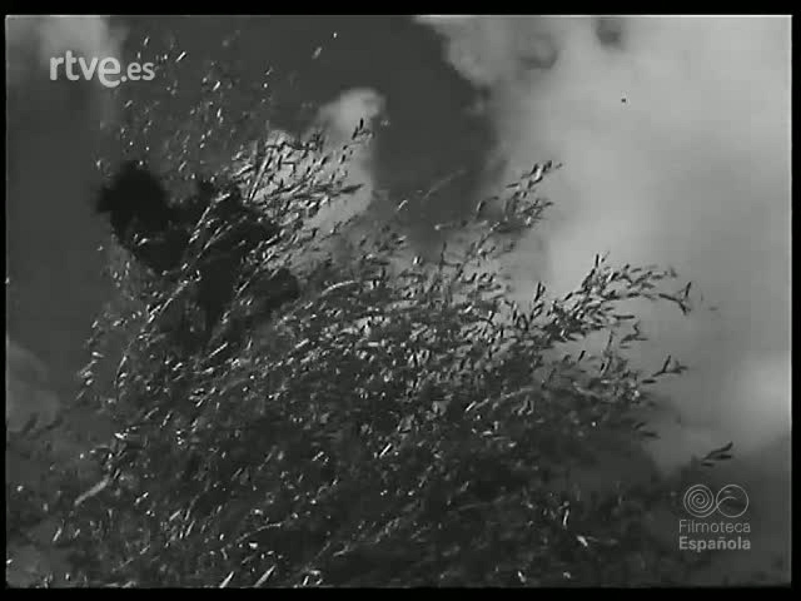 RUTAS GALAICAS - Revista Imágenes | Ver