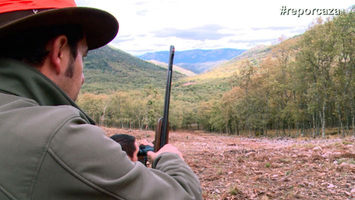 Repor - Repor - Negocio a tiro - avance