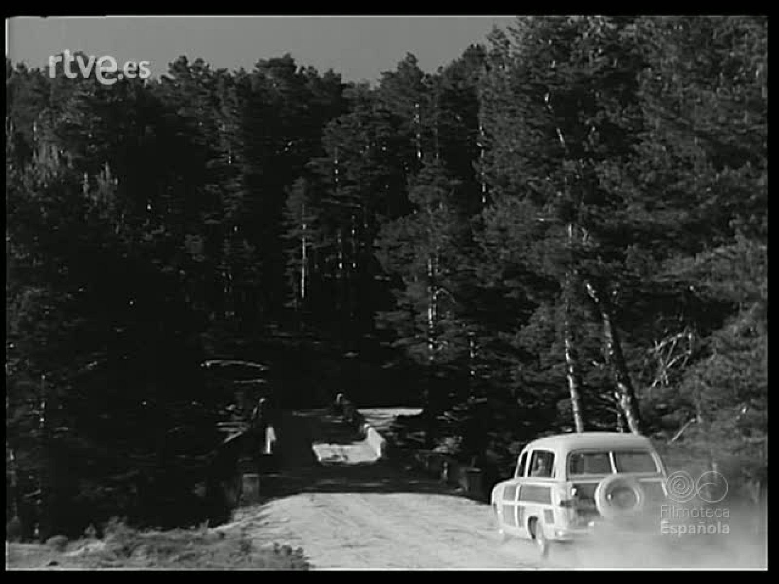 PICOS Y GARRAS - Revista Imágenes | Ver