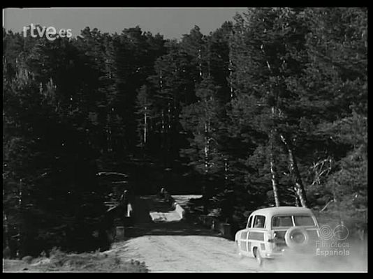 Revista Imágenes - PICOS Y GARRAS