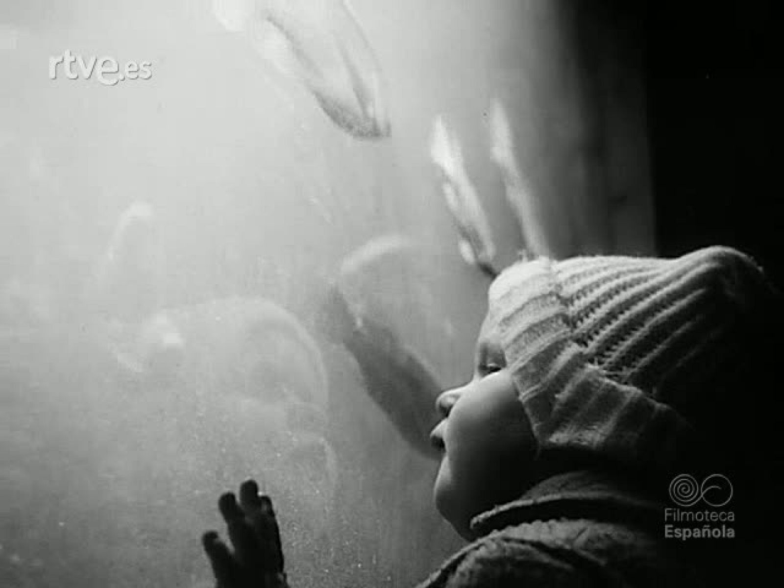 DEL ACUARIO AL MAR - Revista Imágenes | Ver