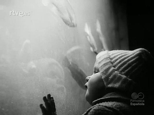 Revista Imágenes - DEL ACUARIO AL MAR