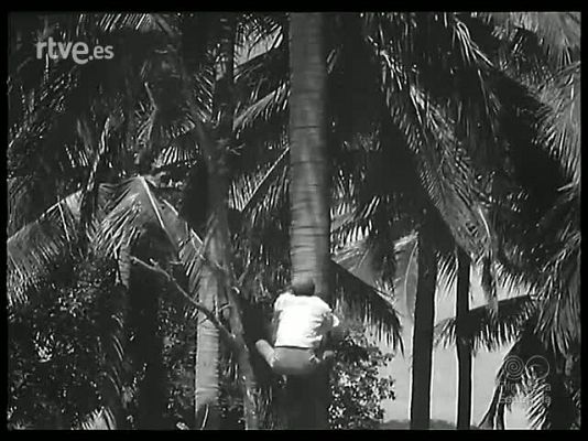 Revista Imágenes - MOSAICO FILIPINO