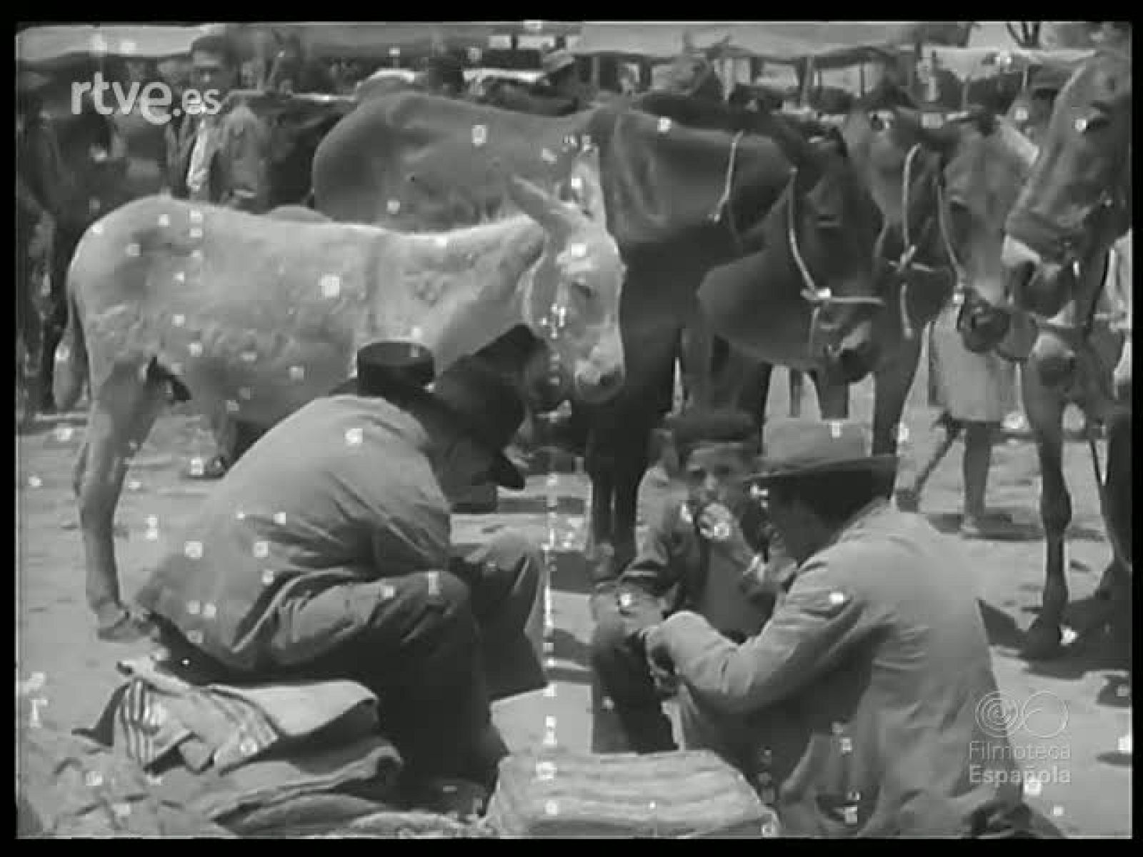 A FEIRA DE CORDOVA E A ROMARIA DO ROCIO - Revista Imágenes | Ver