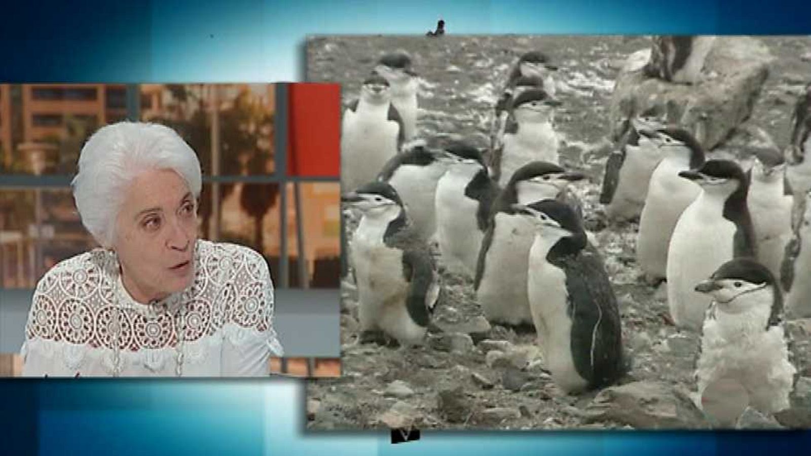 Para todos La 2 - 18/11/14 - ver ahora