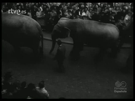 Revista Imágenes - FANTASIA CIRCENSE