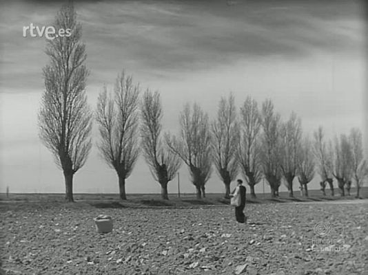 Revista Imágenes - ZAMORA MISTICA