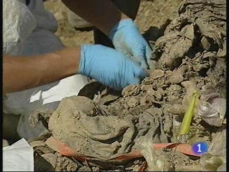 Informe Semanal - Los pilares de la paz | Ver