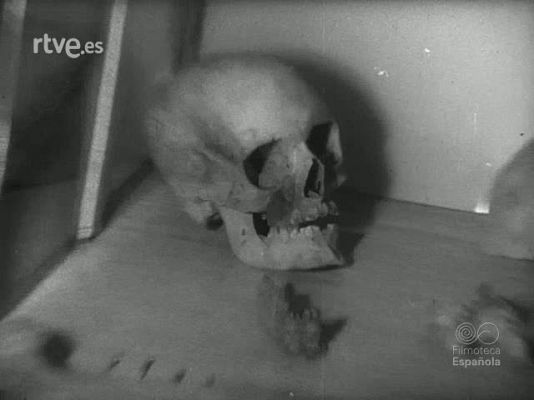 Revista Imágenes - ESTUDIOS DE ESPELEOLOGIA