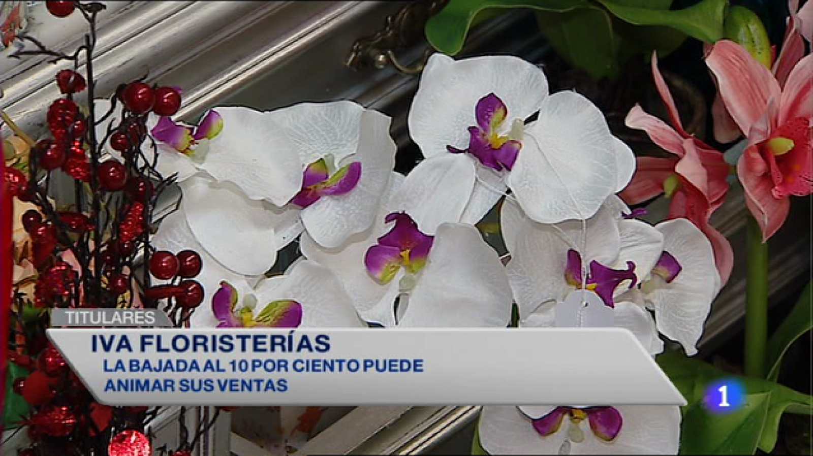 Informativo Telerioja - 19/11/14 | Ver