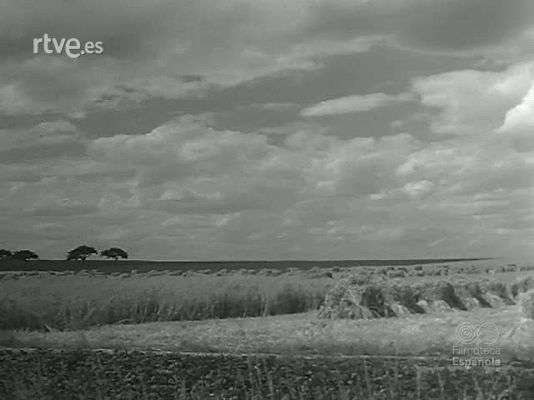 Revista Imágenes - MONUMENTO DE FE. LA CATEDRAL DE CHARTRES
