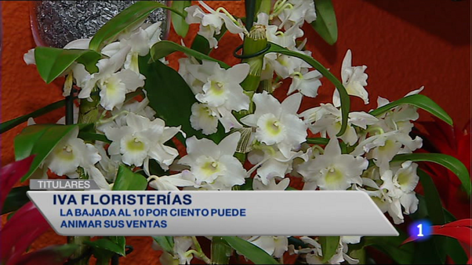 Informativo Telerioja 2 - 19/11/14 | Ver