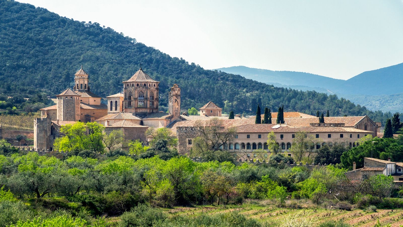 Si las piedras hablaran - Monasterio de Poblet. El largo sueño
