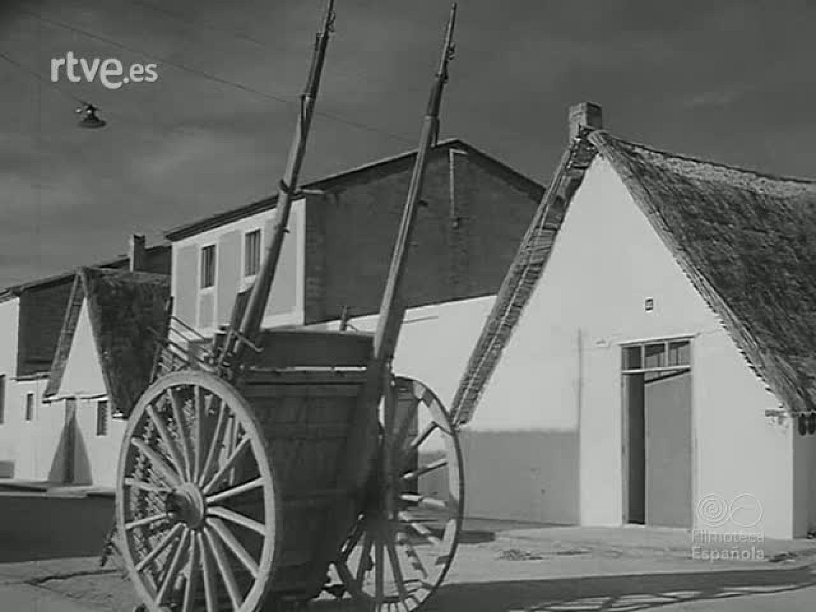 ARROZ Y PAELLA - Revista Imágenes | Ver