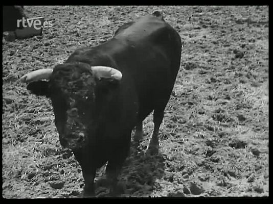 Revista Imágenes - MADRID TAURINO