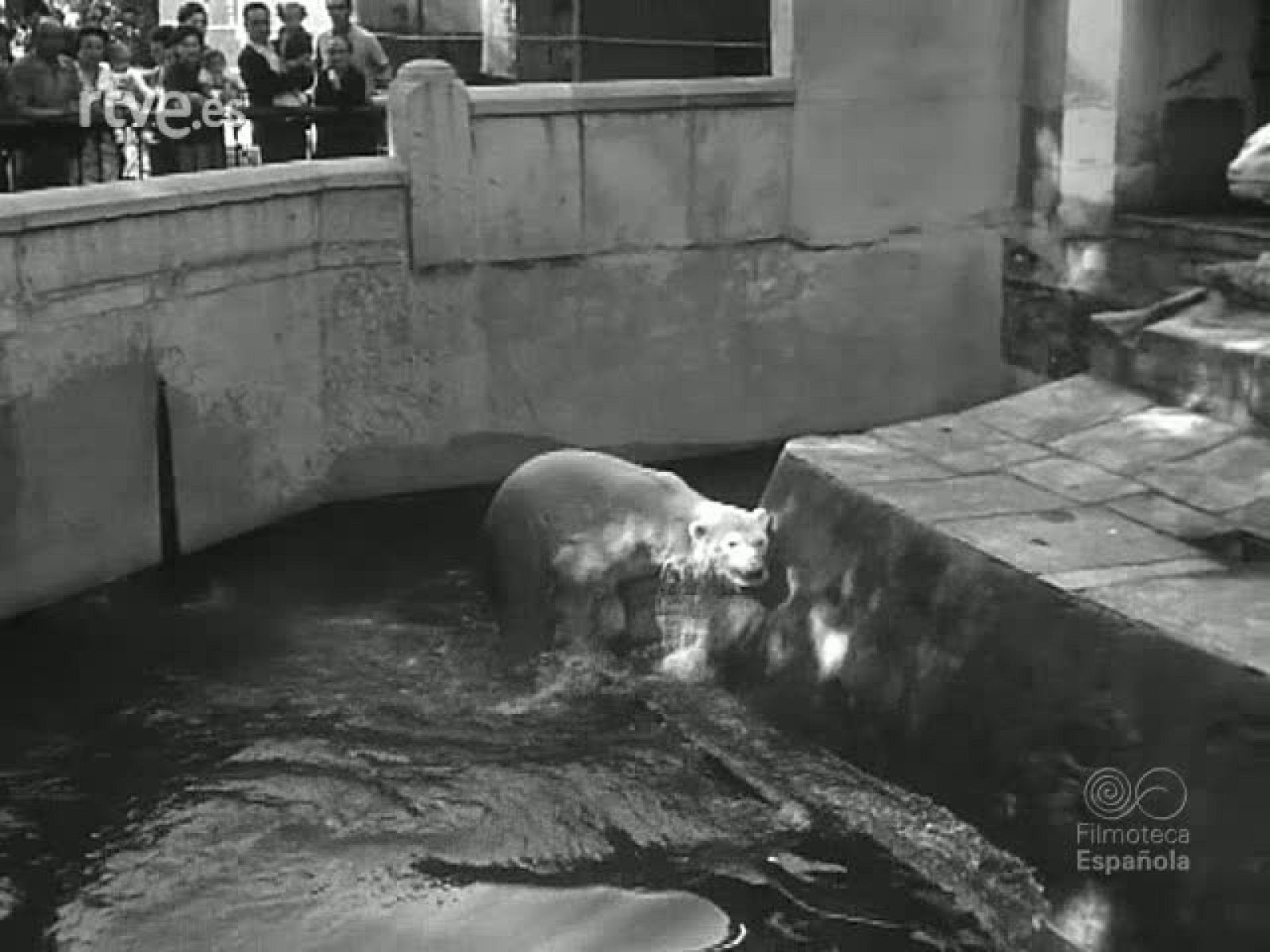 DEL ZOOLOGICO A LA PAMPA - Revista Imágenes | Ver