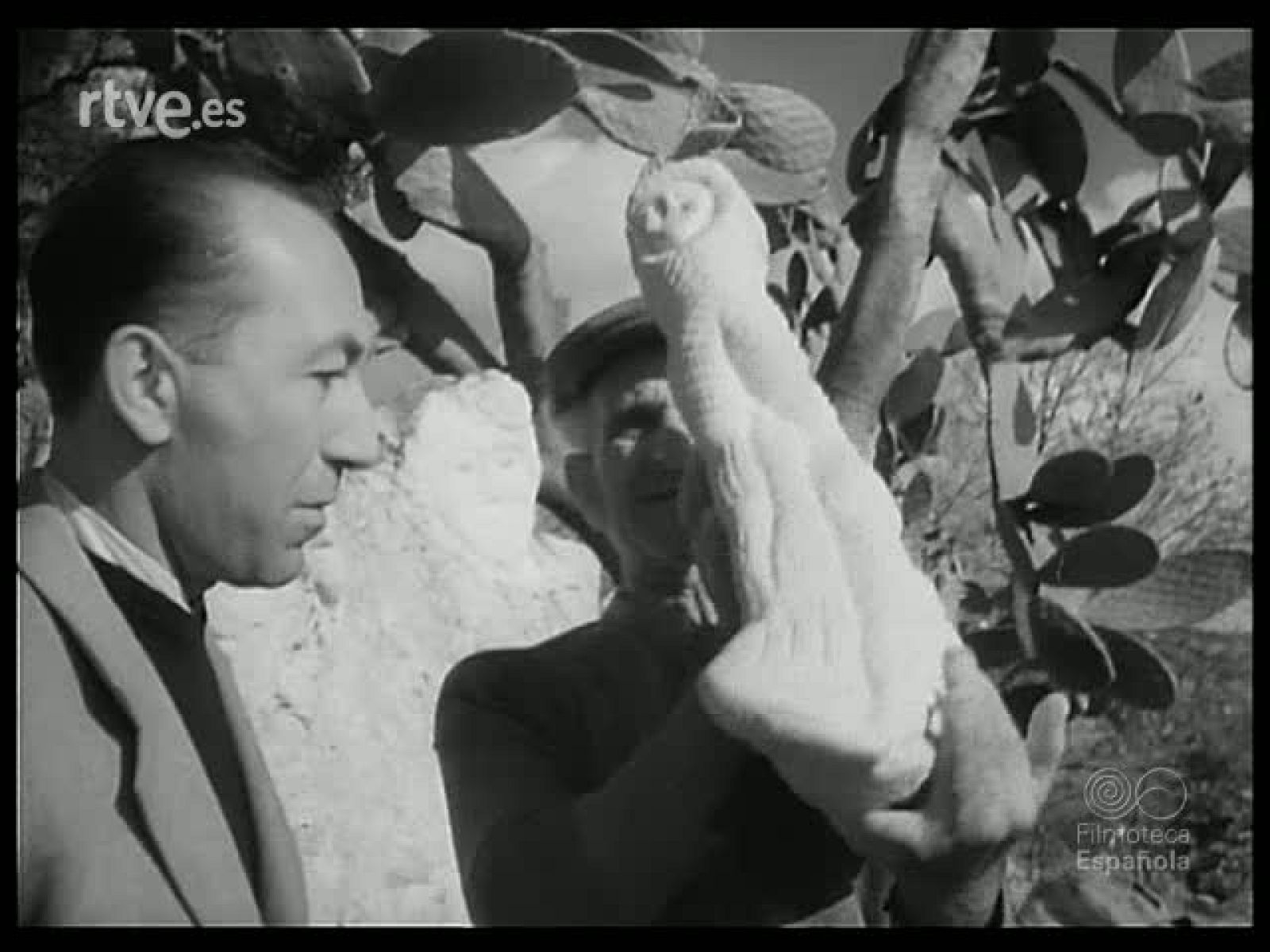 MUNDO ORIGINAL - Revista Imágenes | Ver