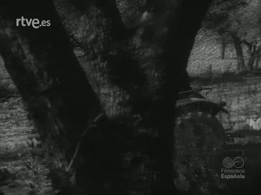 Revista Imágenes - LA PASION EN CERVERA