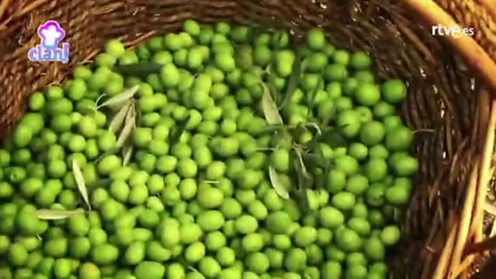 ¡A varear aceitunas! - Cocina con Clan | Ver