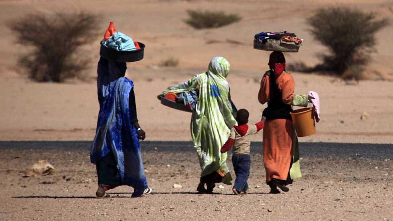 Docufilia - Sahara: situaciones desesperadas - ver ahora