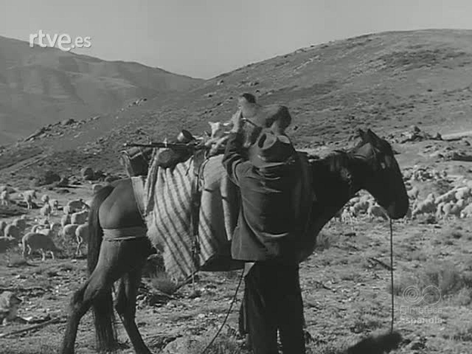 DEL VELLON AL TELAR : BEJAR Y SU INDUSTRIA - Revista Imágenes | Ver