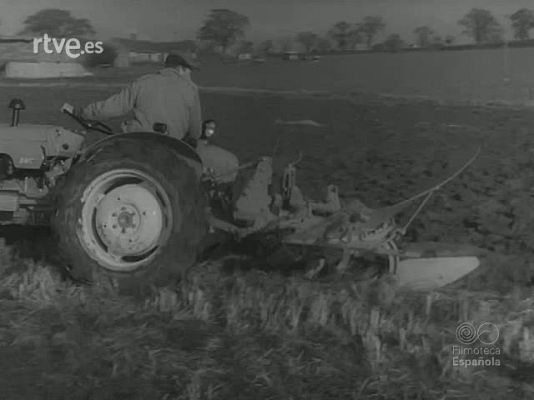 Revista Imágenes - AL SERVICIO DEL HOMBRE