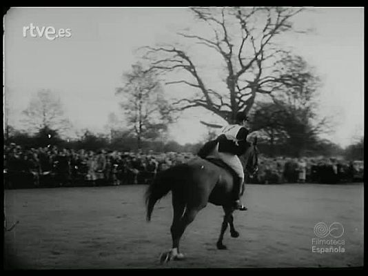 Revista Imágenes - HIPISMO Y FUTBOL