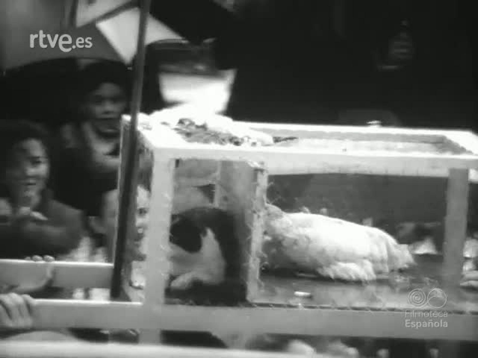 SIGUIENDO LA CORRIENTE - Revista Imágenes | Ver