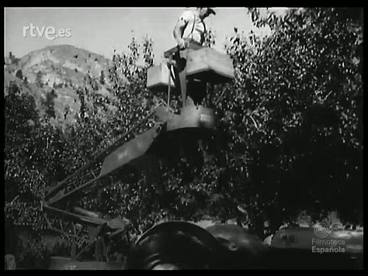 Revista Imágenes - TECNICA PRODIGIOSA