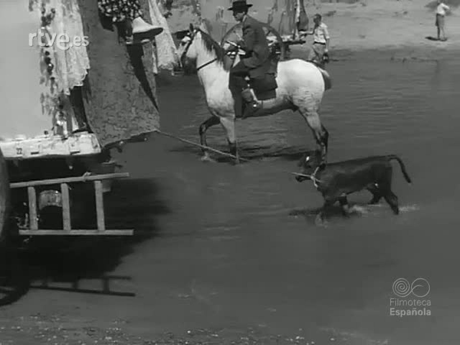 VARIACIONES SOBRE UN REPORTAJE - Revista Imágenes | Ver