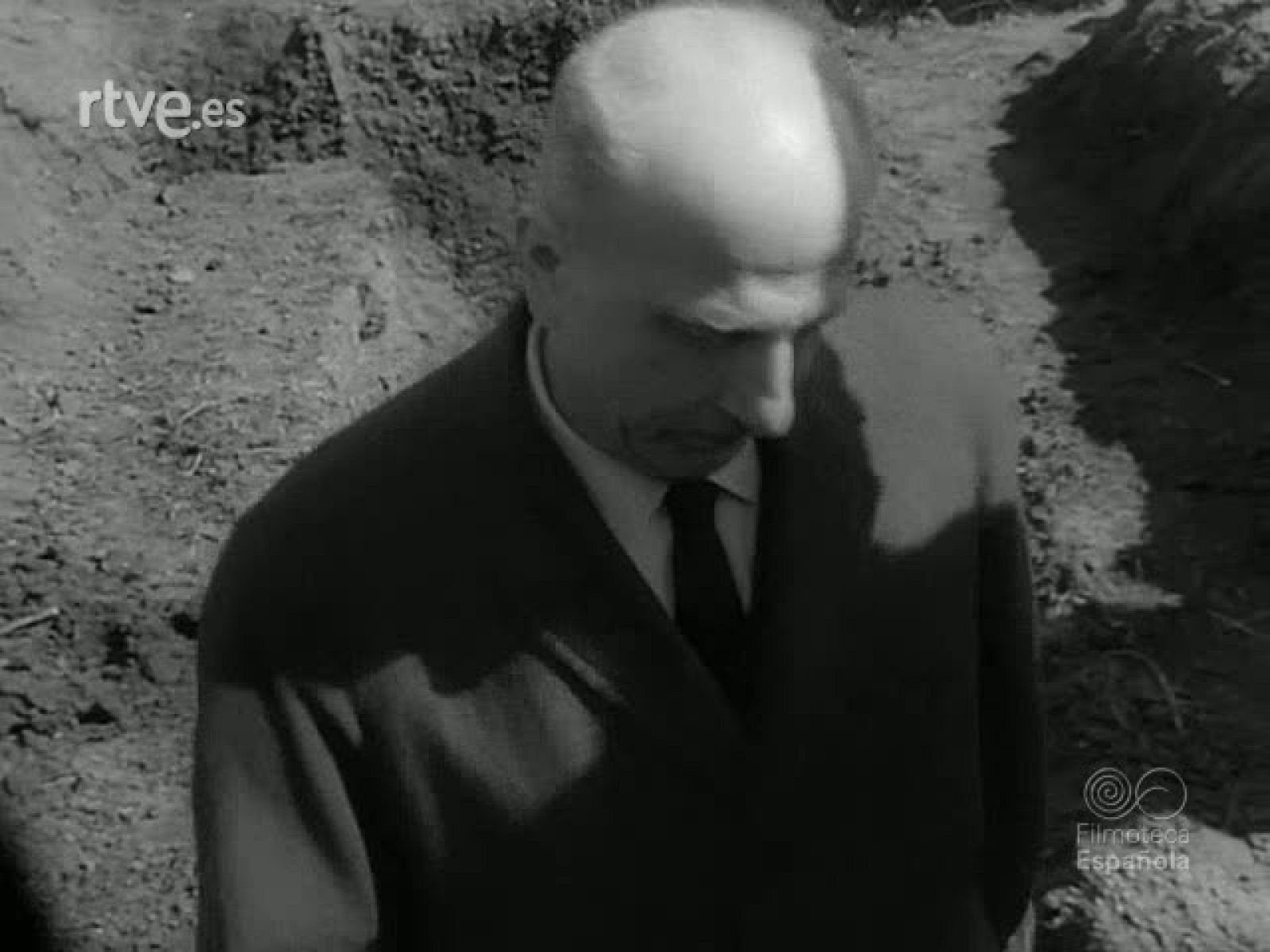 PACIENCIA Y AGILIDAD DEL ARTE - Revista Imágenes | Ver