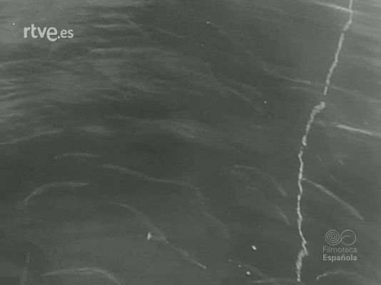 Revista Imágenes - ARTES DE PESCA