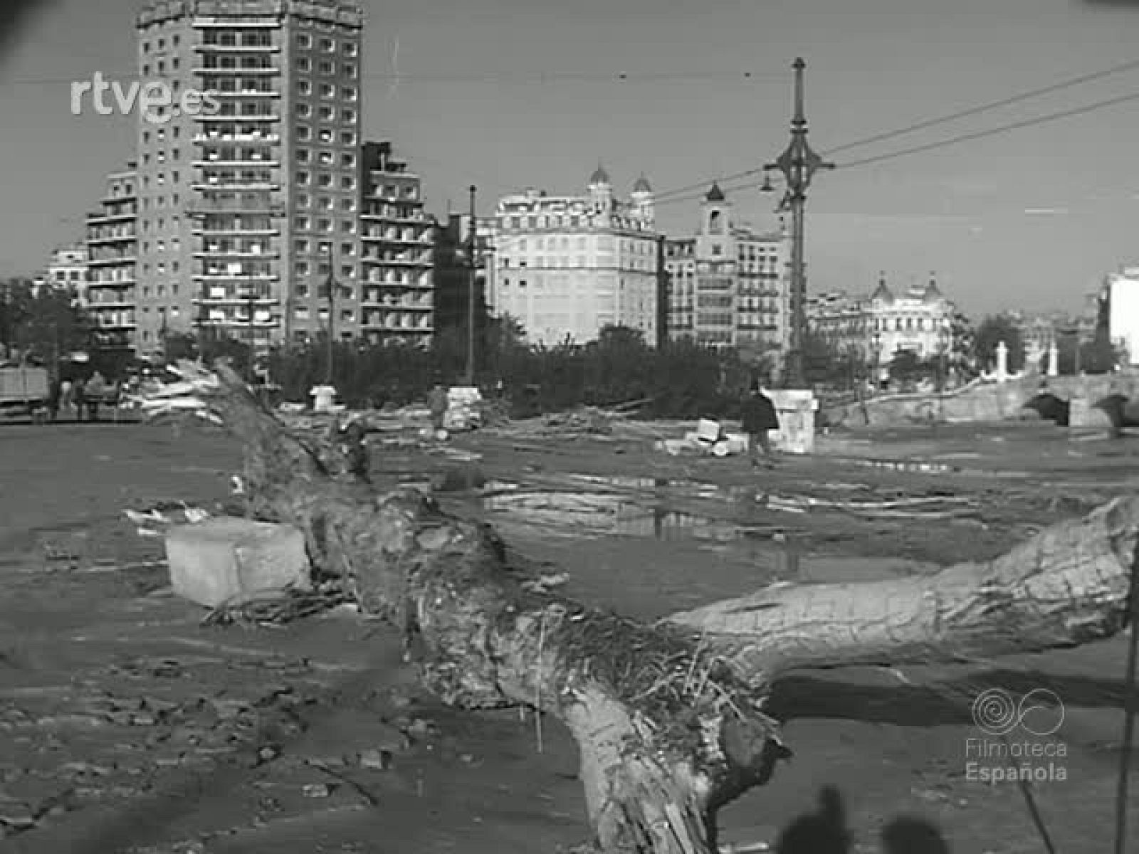 FIESTAS FALLERAS - Revista Imágenes | Ver