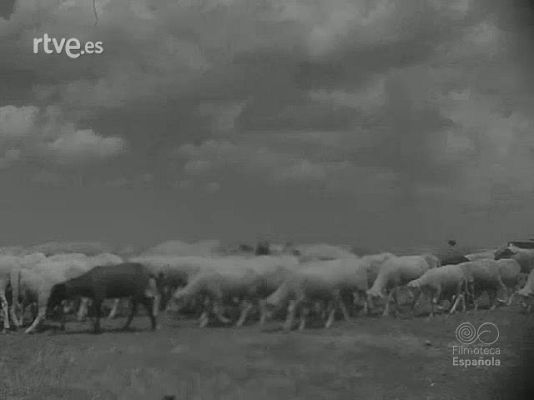 Revista Imágenes - MOSAICO PALENTINO