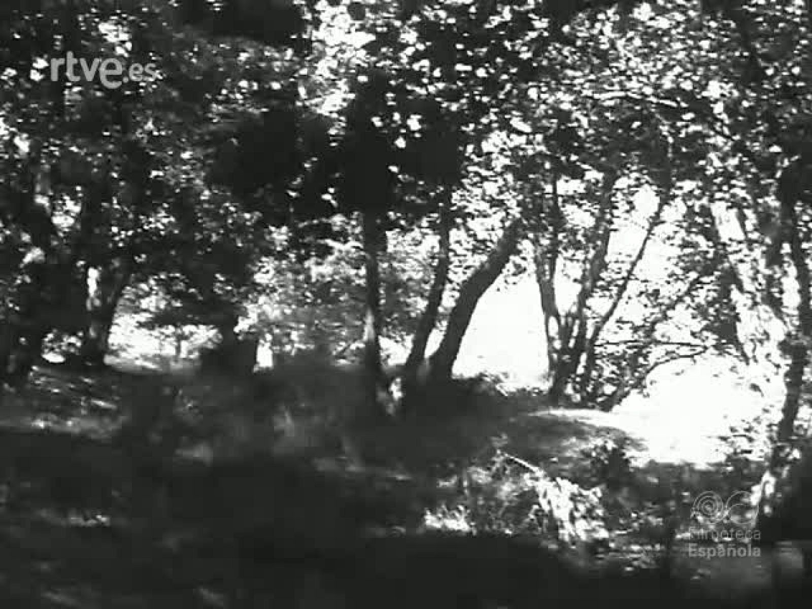 DONDE NACE EL EBRO - Revista Imágenes | Ver