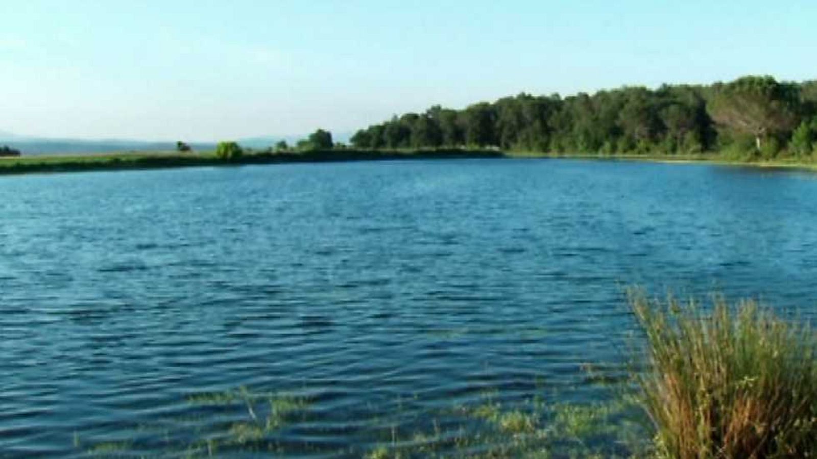 La aventura del saber - 24/11/14 - Ver ahora