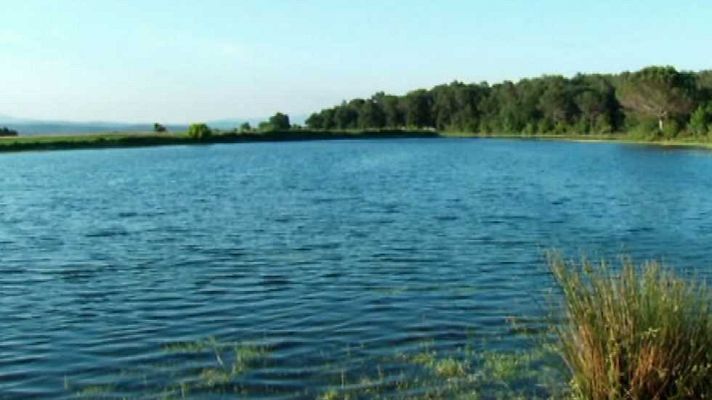 La aventura del Saber - La aventura del saber - 24/11/14