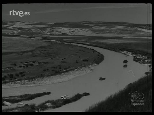 Revista Imágenes - EL RIO SIEMBRA RIQUEZA. EN LA CUENCA DEL GUADALQUIVIR