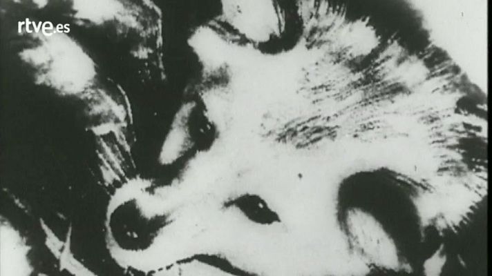 Órbita Laika - Así se contó el lanzamiento de Laika