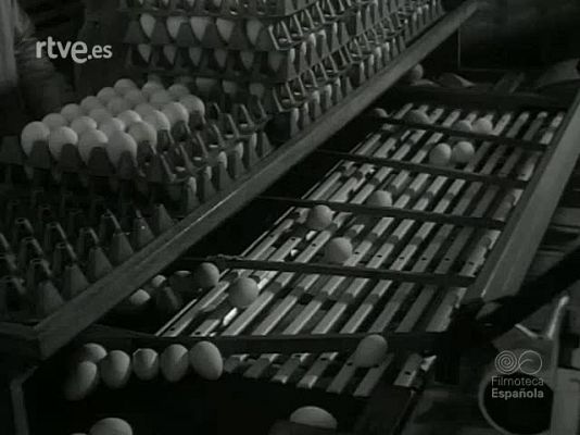 Revista Imágenes - DE LOS ANIMALES UTILES