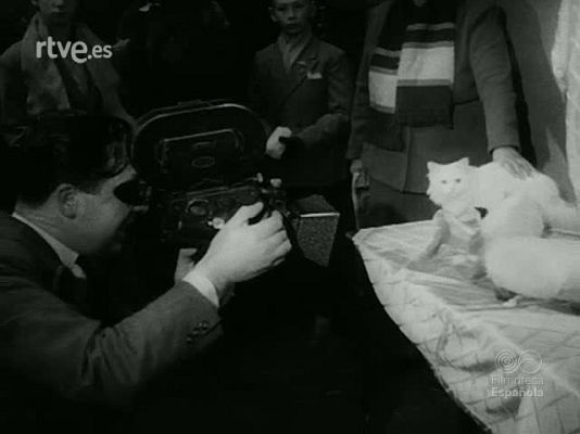 Revista Imágenes - ILUSION Y ZOOLOGIA