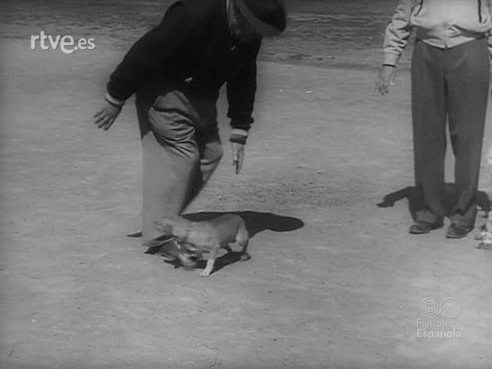 DESTREZA Y ESPECTACULO - Revista Imágenes | Ver