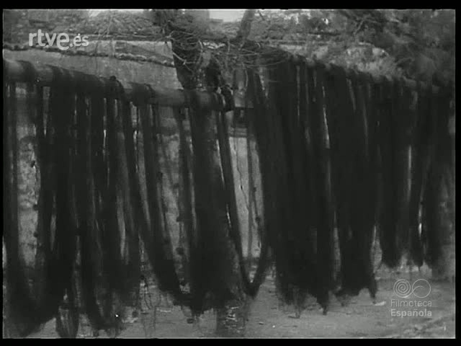 CONTRASTES DE GALICIA - Revista Imágenes | Ver