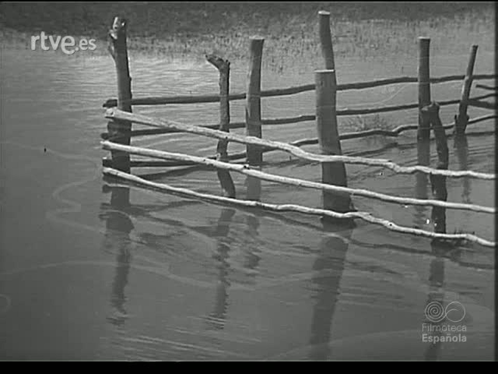 TIERRAS MARISMEÑAS - Revista Imágenes | Ver