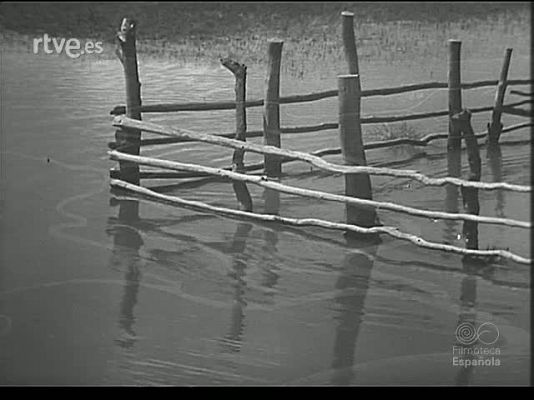 Revista Imágenes - TIERRAS MARISMEÑAS