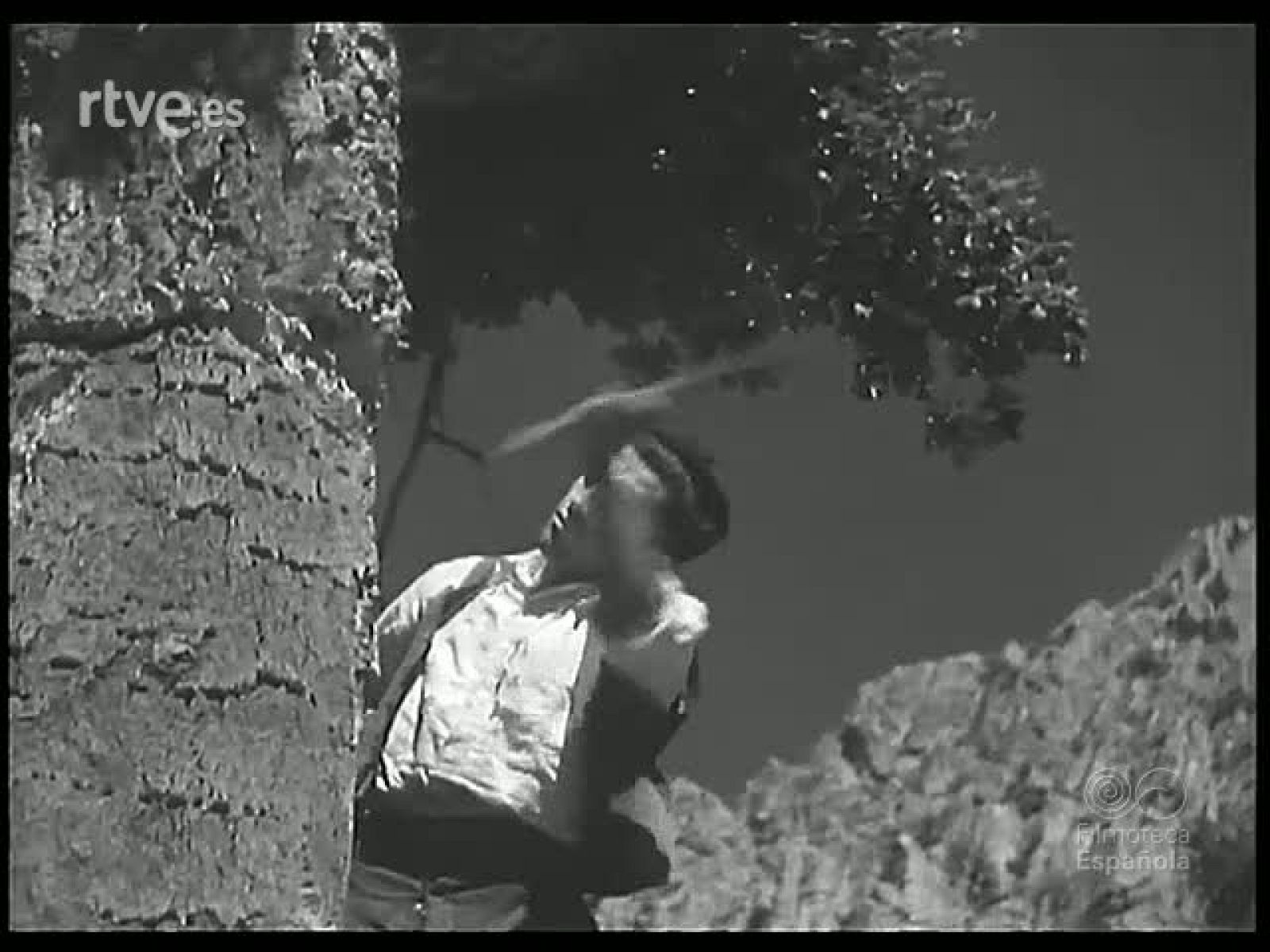 EN LOS CAMPOS EXTREMEÑOS - Revista Imágenes | Ver