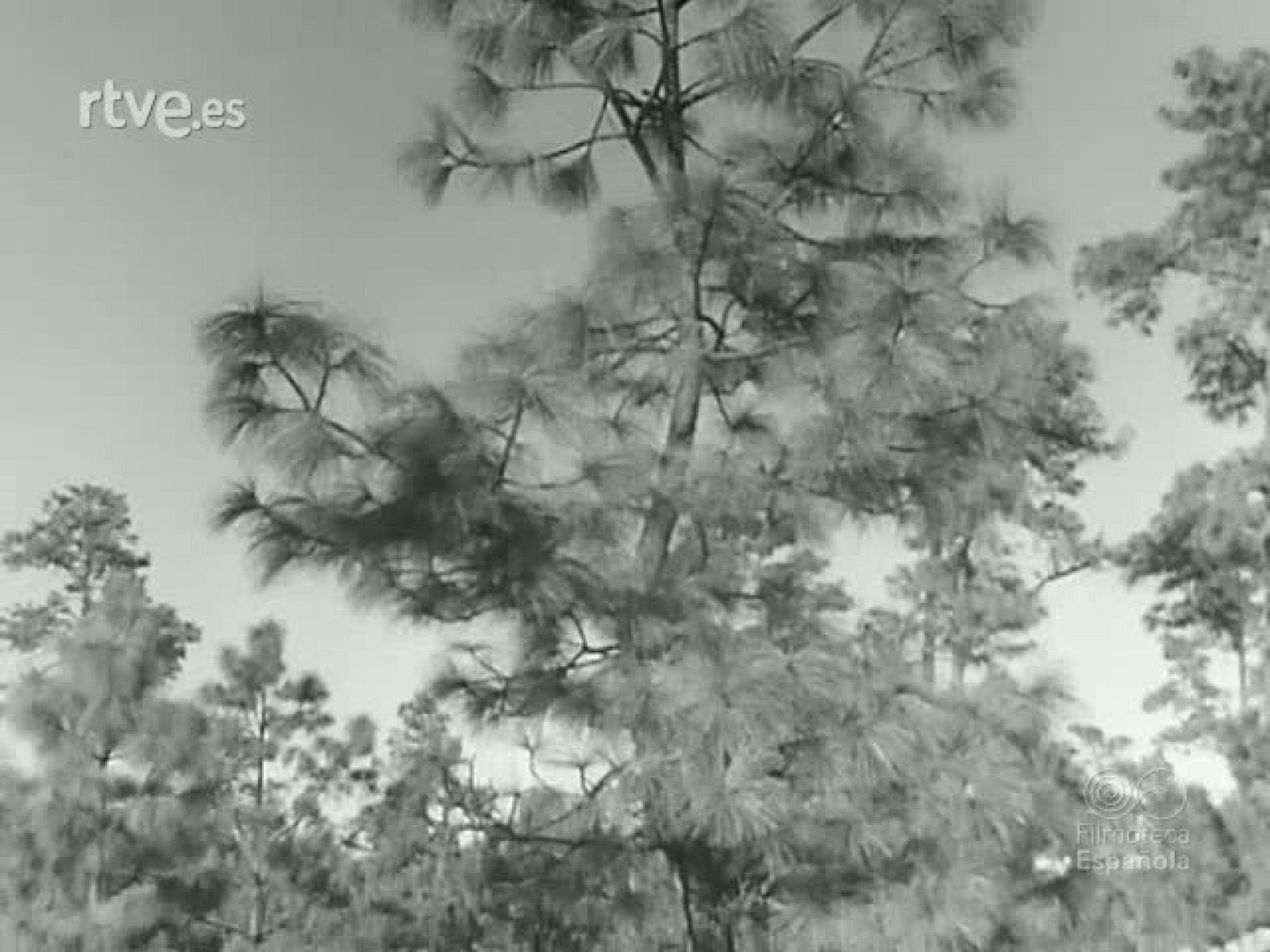 TEMAS DE MEJICO - Revista Imágenes | Ver