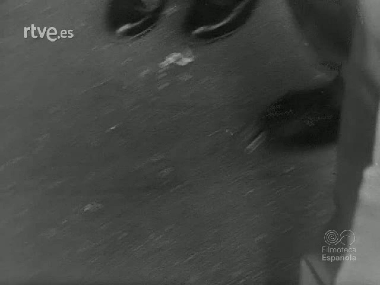 ENCUADRES CURIOSOS - Revista Imágenes | Ver