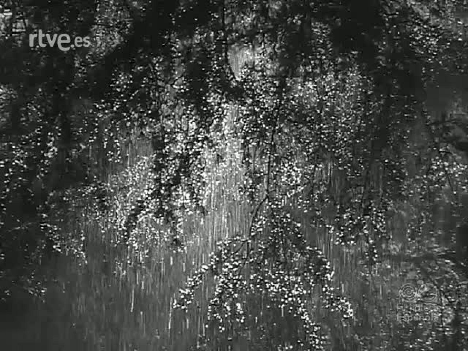 GLORIA A DIOS: RETABLO NAVIDEÑO - Revista Imágenes | Ver